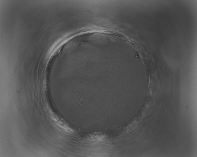 X0000077980247200611031407