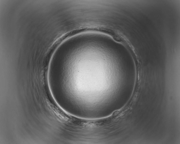 X0000077980249200611031407