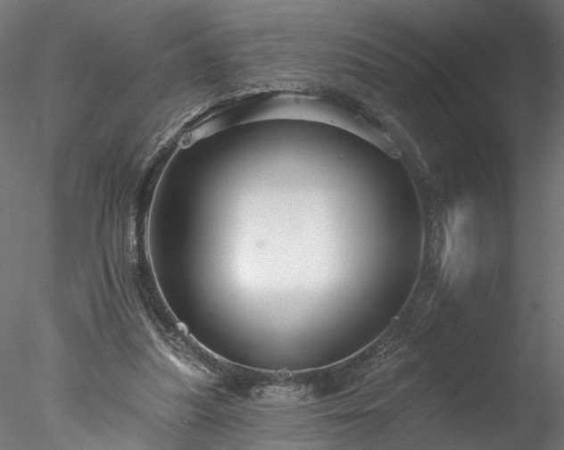 X0000077980251200611031407