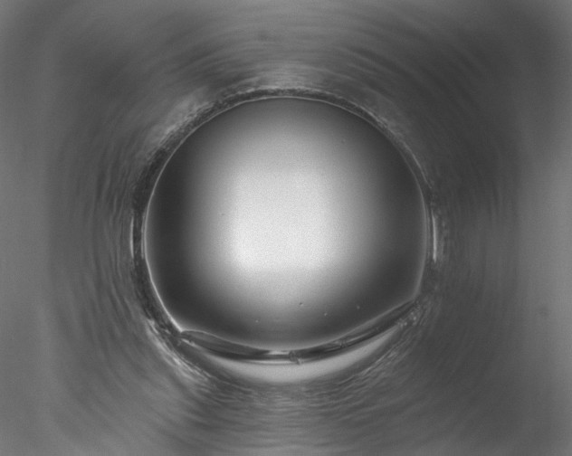 X0000077980253200611031407