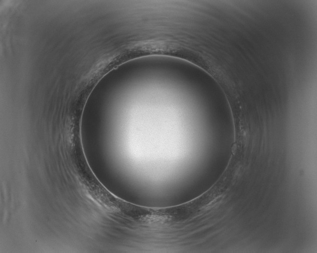 X0000077980255200611031407