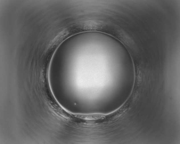 X0000077980258200611031407