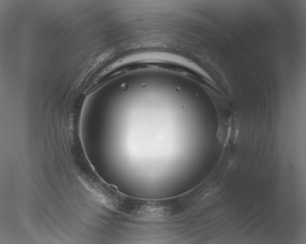 X0000077980260200611031407