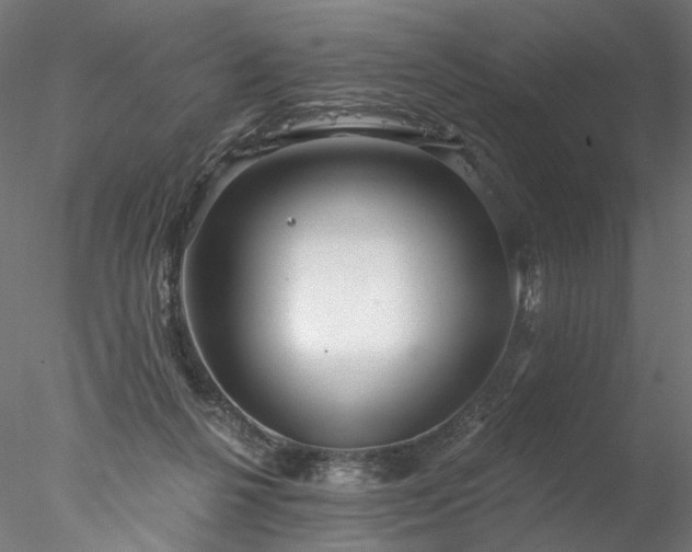 X0000077980264200611031407