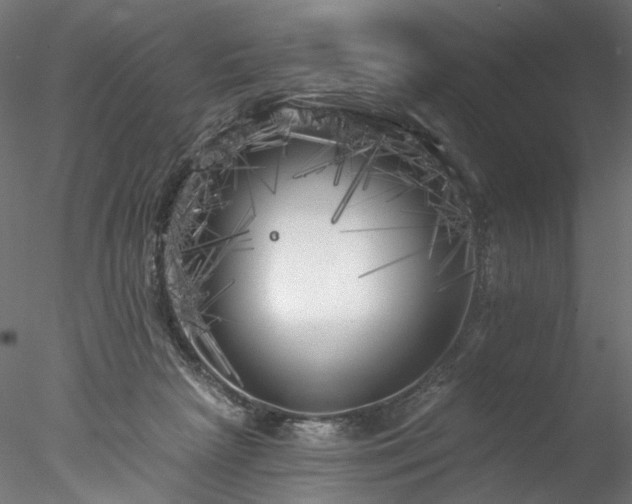 X0000077980265200611031407