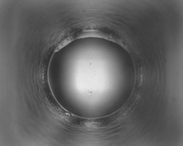 X0000077980268200611031407
