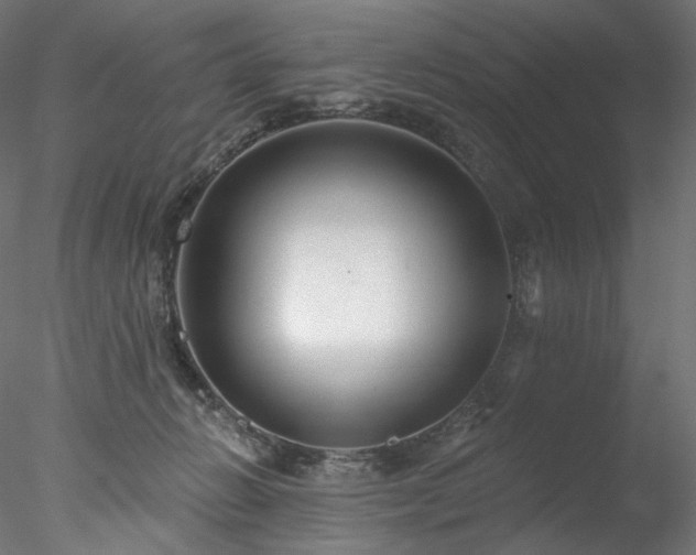 X0000077980270200611031407