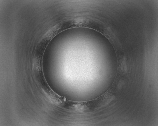 X0000077980272200611031407