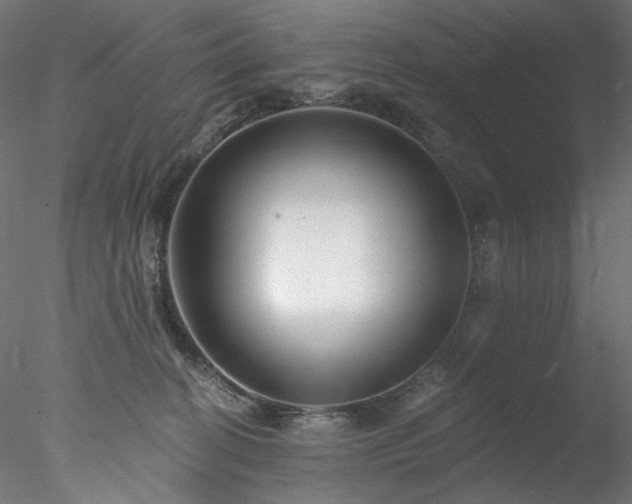 X0000077980274200611031407