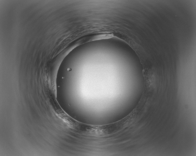 X0000077980276200611031407