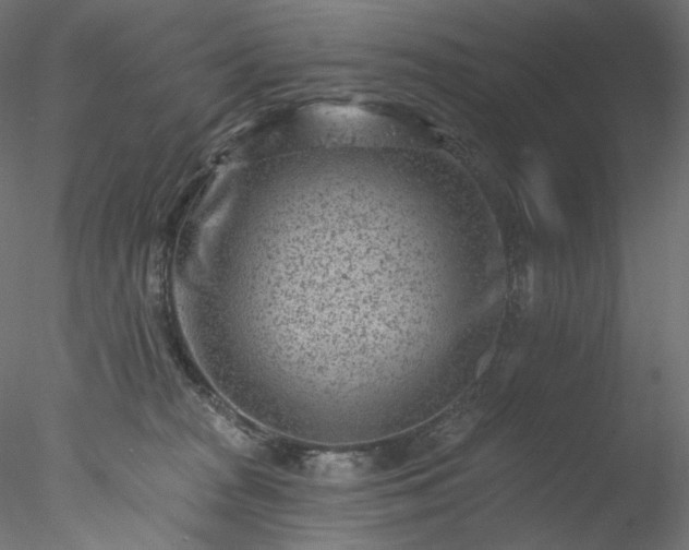 X0000077980277200611031407