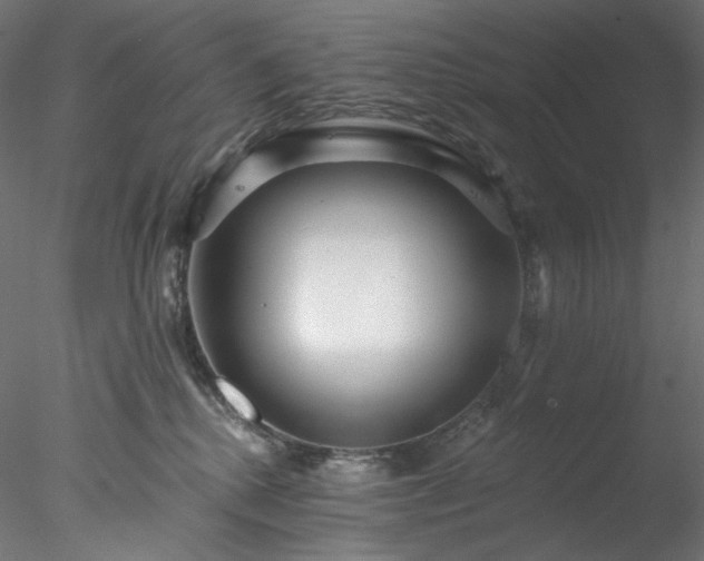 X0000077980280200611031407