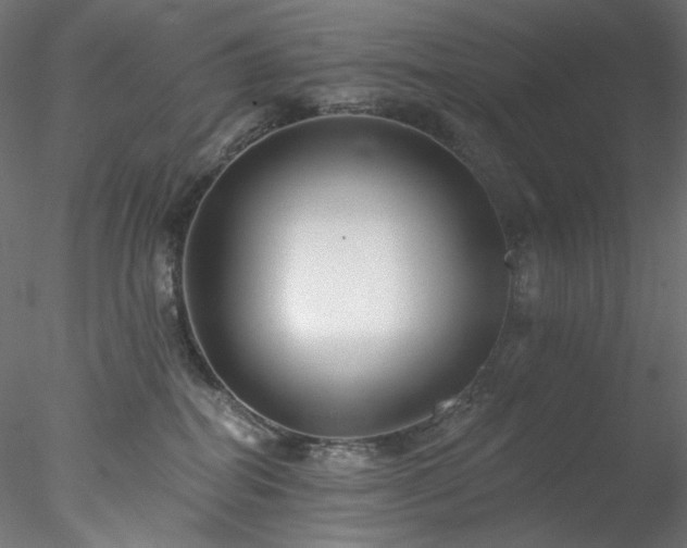 X0000077980282200611031407