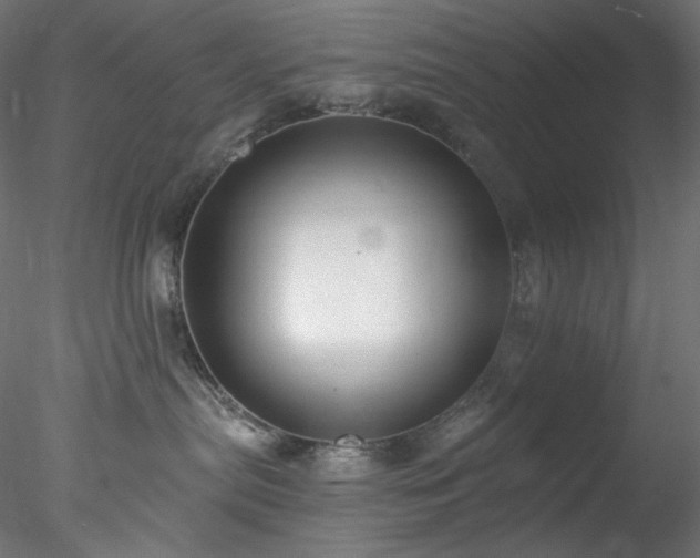 X0000077980287200611031407