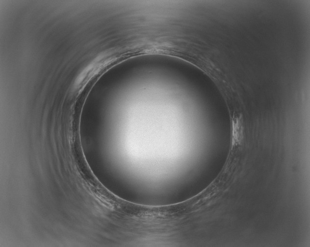 X0000077980291200611031407