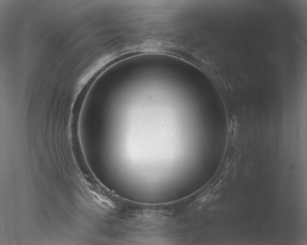 X0000077980292200611031407