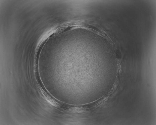 X0000077980293200611031407