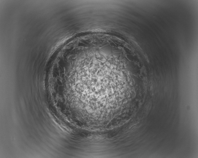 X0000077980299200611031406