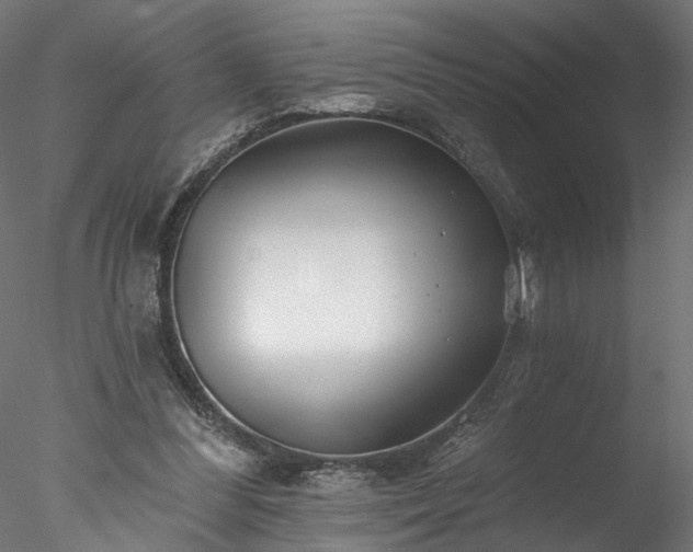 X0000077980300200611031406