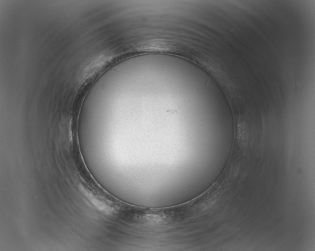 X0000077980302200611031406
