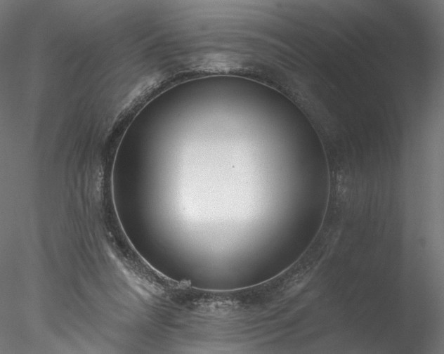X0000077980304200611031406