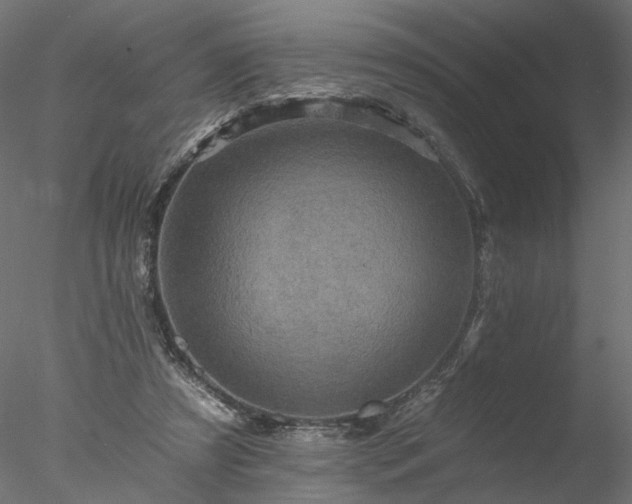 X0000077980305200611031406