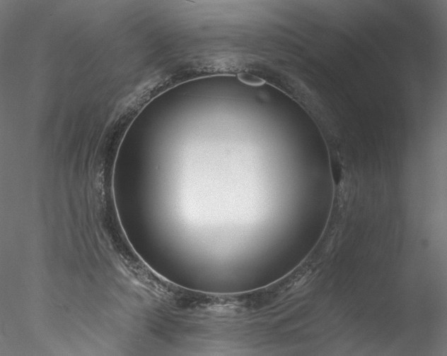 X0000077980306200611031406
