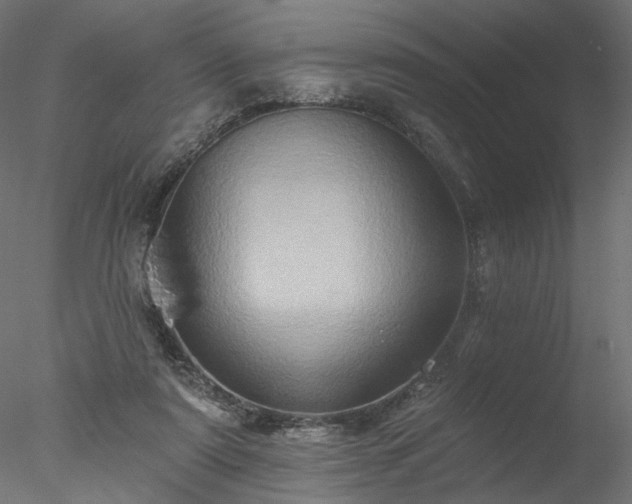 X0000077980307200611031406