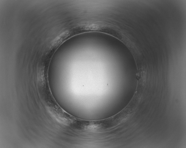 X0000077980312200611031406