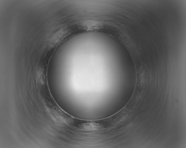 X0000077980316200611031406