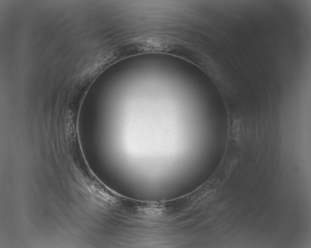 X0000077980318200611031406