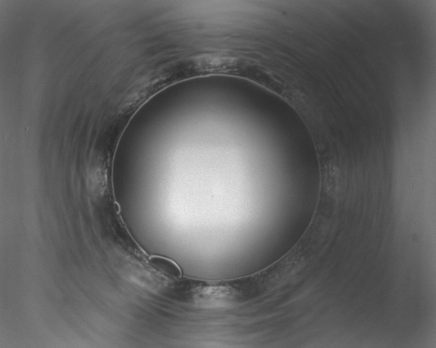 X0000077980324200611031406