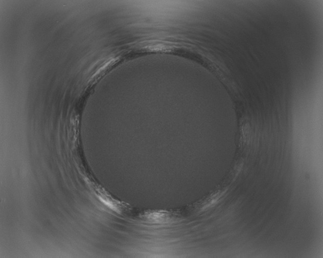 X0000077980325200611031406