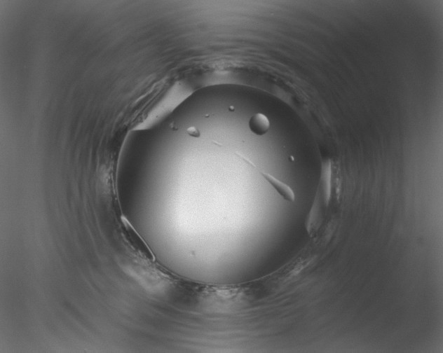 X0000077980329200611031406