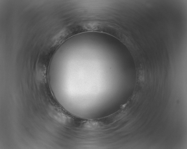 X0000077980332200611031406
