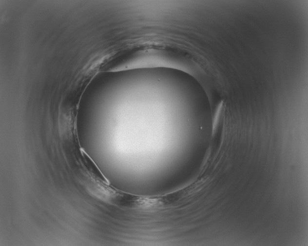 X0000077980333200611031406