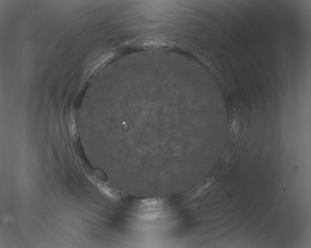 X0000077980335200611031406