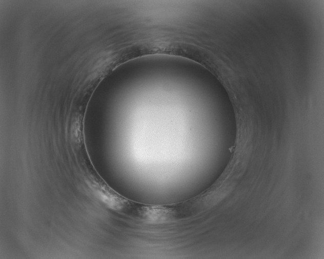 X0000077980336200611031406