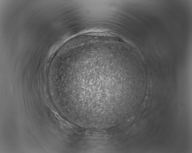 X0000077980337200611031405