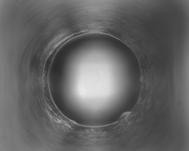 X0000077980338200611031405