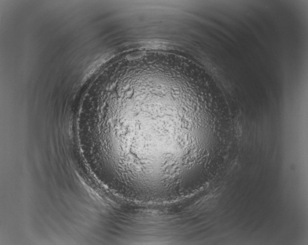 X0000077980347200611031405