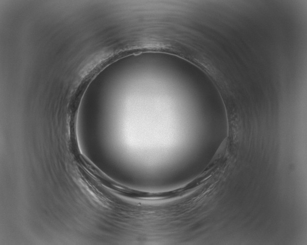 X0000077980350200611031405
