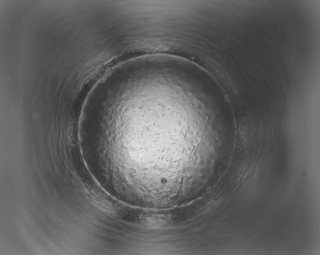 X0000077980359200611031405