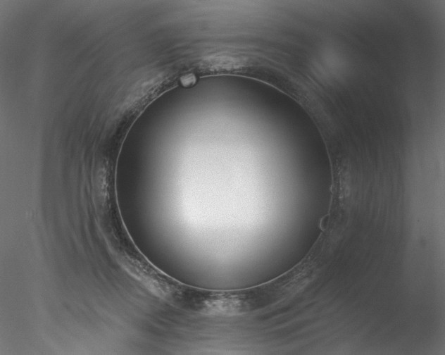 X0000077980362200611031405