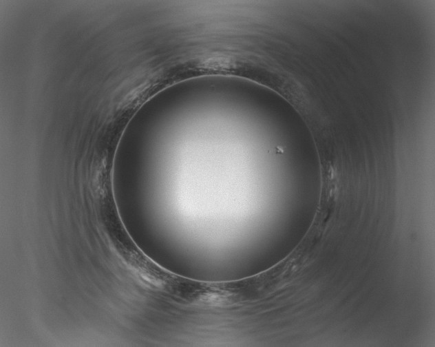 X0000077980364200611031405