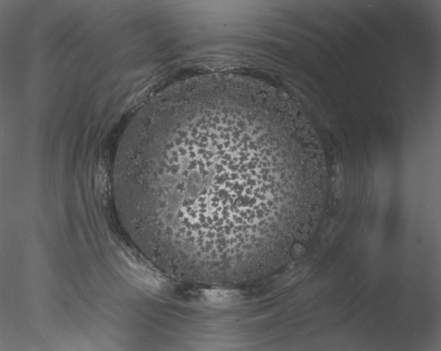 X0000077980371200611031406