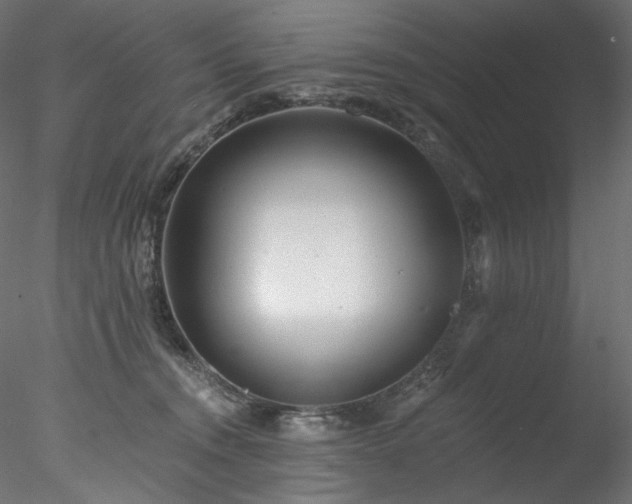 X0000077980372200611031406