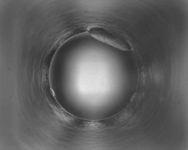 X0000077980379200611031406