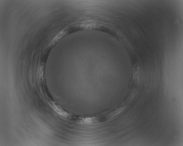 X0000077980382200611031406
