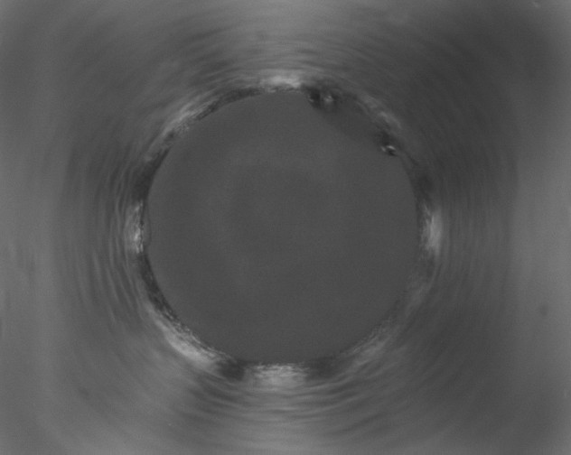 X0000077980383200611031406
